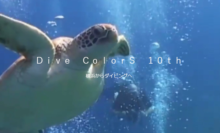 Dive ColorS | TCD MUSEUM